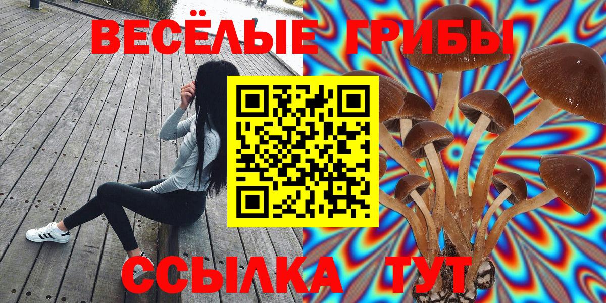 Галлюциногенные грибы Cubensis  Вход с VPN  Чайковский 