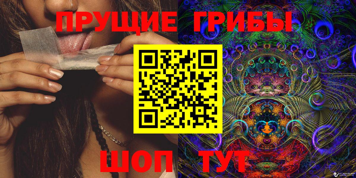 Псилоцибиновые грибы Psilocybe Чайковский